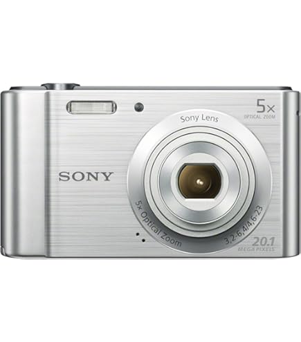 Sony DSC-HX10VW Cyber-shot Digital Camera 18.2 Megapixels